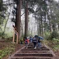 戸隠神社　杉並木参道