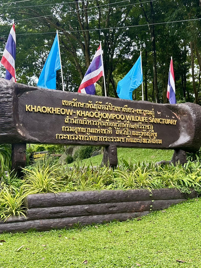 ไปหาหมูเด้ง🦛ที่เขาเขียว ต่อเที่ยวน้ำตกชันตาเถร 