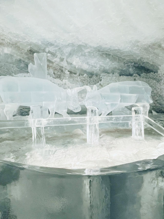 🇨🇭スイス　展望台に氷河の洞窟！？📍マッターホルングレッシャーパラダイス