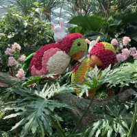 Canopy park @ Jewel Changi Airport 