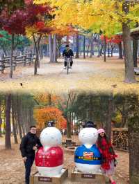 Essential Travel Checklist for an Autumn Adventure to Nami Island