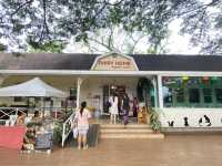 DAIRY HOME กรีกโยเกิร์ตร้านโปรด😍