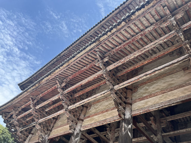 東大寺/ 祈禱天下太平的宏偉寺院