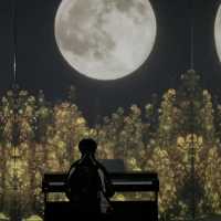 Immersive Delights at Arte M: A Serene Exploration
