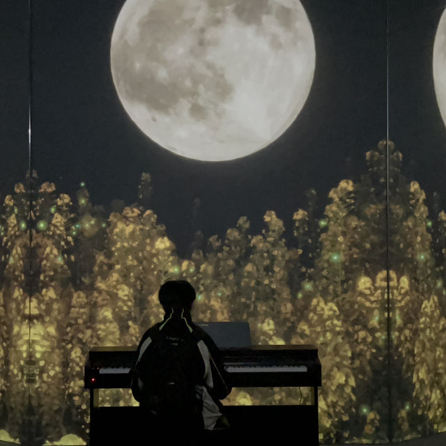 Immersive Delights at Arte M: A Serene Exploration