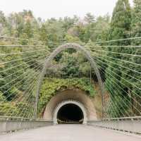 🛣️穿越時光隧道，邂逅 Miho Museum 的奇幻之旅