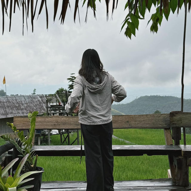 บ้านพักลอแอะ ป่าบงเปียง - เชียงใหม่