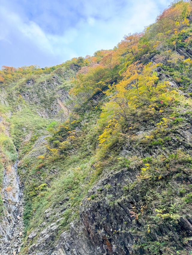 【新潟】🍁 秋の絶景！紅葉に包まれた清津峡渓谷トンネル 🍁