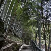 Anhui-Huangshan Emerald Valley