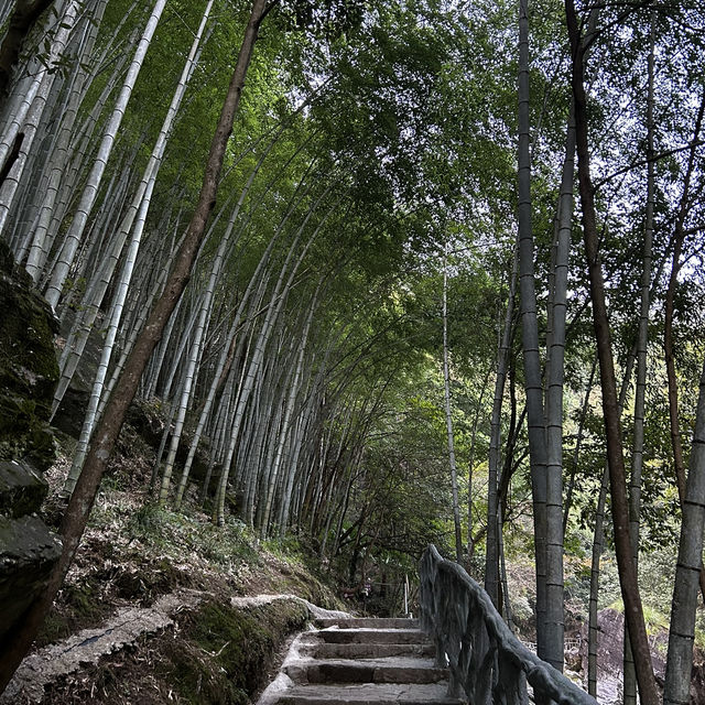 Anhui-Huangshan Emerald Valley