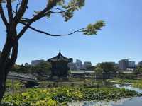  Visiting Gyeongbokgung Palace in a Korean traditional dress