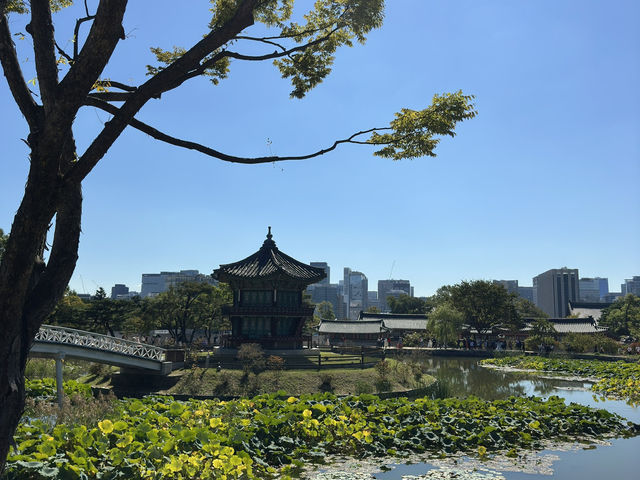  Visiting Gyeongbokgung Palace in a Korean traditional dress