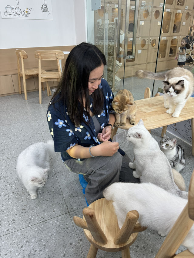帶你玩轉華強北美食娛樂集中地