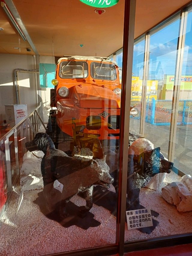 【稚内市青少年科学館:北海道稚内市】貴重な南極探索の展示がある科学館☃️