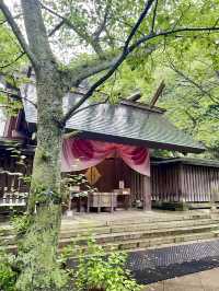 【福井県】敦賀港の眺めが素晴らしい神社