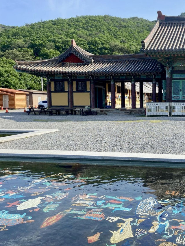 자연과 힐링하며 나들이할 수 있는 🌳경북 양산 아름다운 사찰여행지🏞️ 