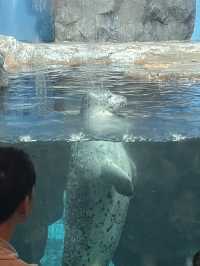 【鹿児島】いおワールドかごしま水族館