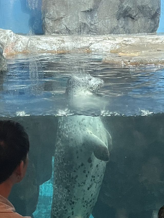 【鹿児島】いおワールドかごしま水族館