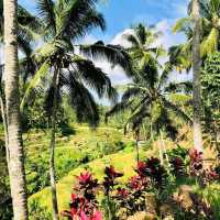 Bali Heaven