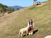 อาข่า ฟาร์มวิลล์ (Akha FarmVille)
