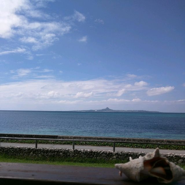 【沖縄】エメラルドビーチの絶景とともに楽しむ、チャハヤブランの沖縄ランチ