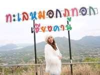 ทะเลหมอกภูทอก
