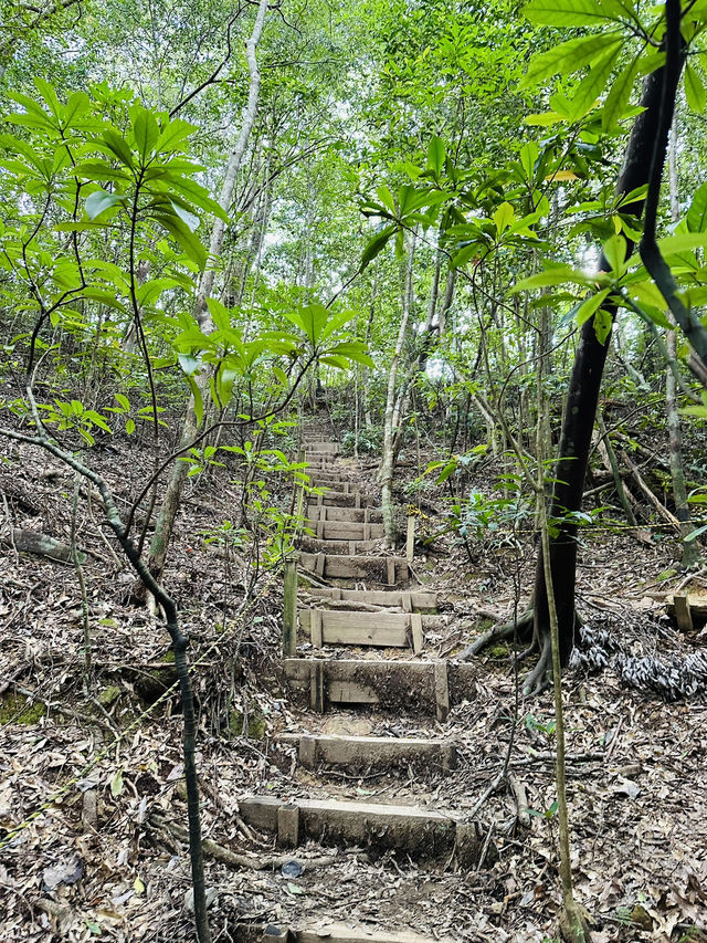 【奄美大島】金作原