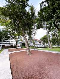 Hong Lim Park: Singapore’s Hub of Heritage and Expression