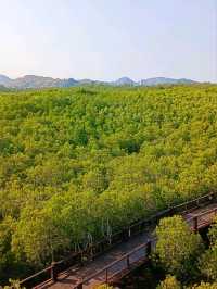 วนอุทยานปราณบุรี