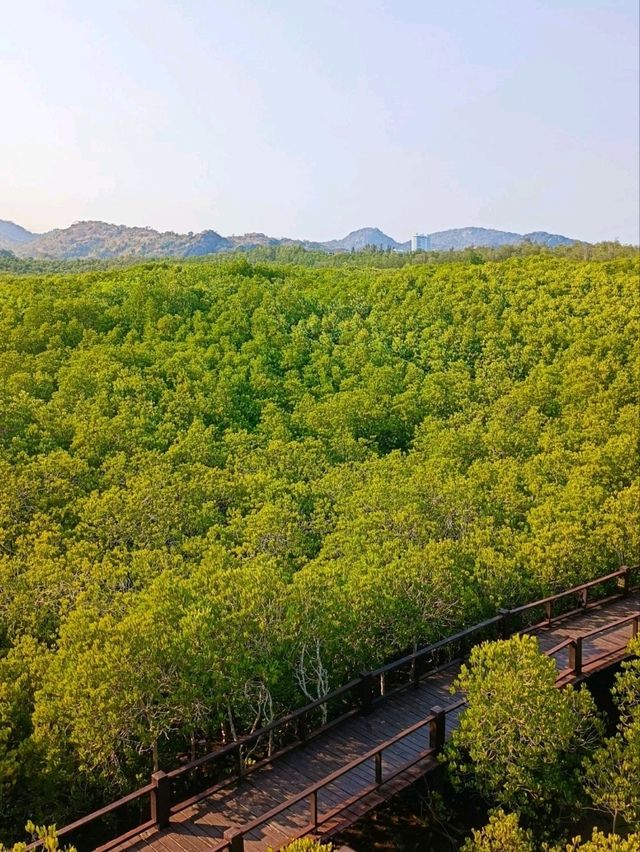 วนอุทยานปราณบุรี