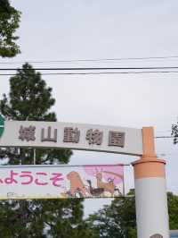 長野｜善光寺参りの帰りに周辺を散策𓂃𓈒𓂂𓏸
