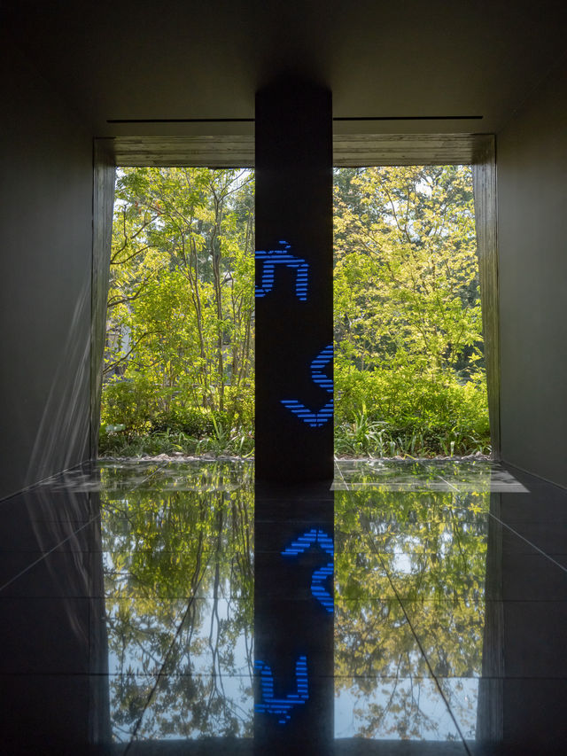 【大分】アート好きじゃなくても楽しめる🎨隈研吾氏建設のアートミュージアム🏛️ 