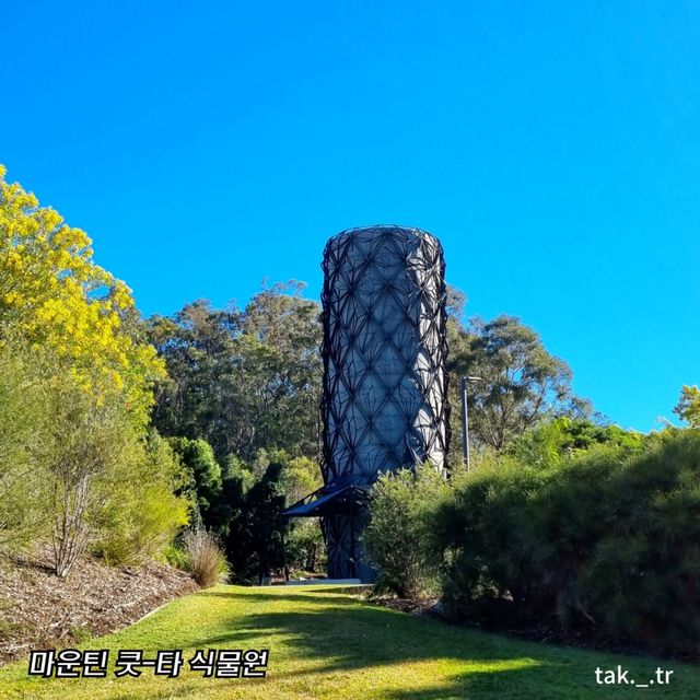 호주 브리즈번 마운틴 쿳-타 전망대와ㅡ식물원🇦🇺