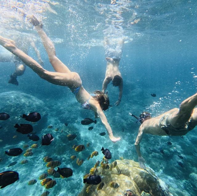 Amazing Snorkeling Adventure at Nusa Dua Beach 🏖️ 