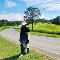 เขาใหญ่ ที่เที่ยวธรรมชาติใกล้กรุง 🌿⛰️