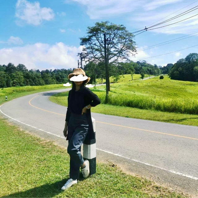 เขาใหญ่ ที่เที่ยวธรรมชาติใกล้กรุง 🌿⛰️
