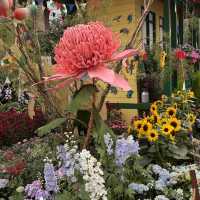 Nature's Palette: Discovering the Latest Blooms at Gardens by the Bay