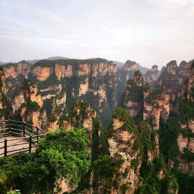 Discover the Wonders of Zhangjiajie