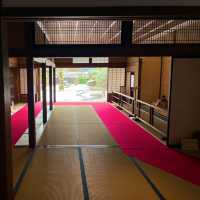 岐阜景點｜冬雪到「飛驒小京都」高山老街一日遊—高山 古い町並