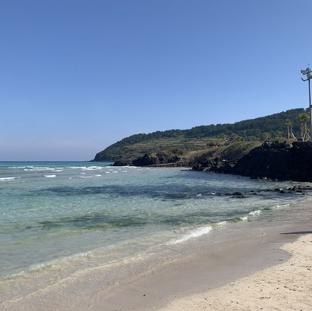 화창한 가을날의 제주도🏞️ 가족들이랑 한라산부터 월정리 해수욕장까지💕