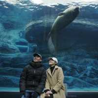 Asahiyama ZooHokkaido