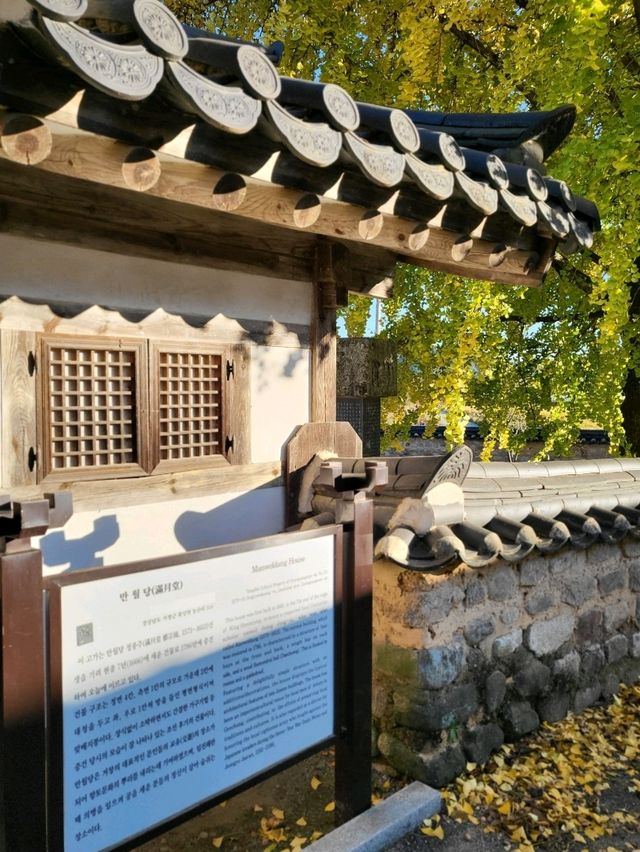 한적하게 즐기는 거창 은행나무명소
