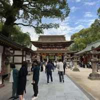 Nature’s Beauty and History: My Stunning Visit to Dazaifu Tenmangu!