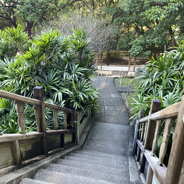 故宮晶華遇見黑天鵝❤️
