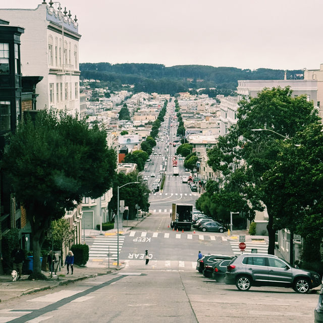 Picturesque… SAN FRANCISCO 🇺🇸 