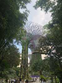 Gardens By The Bay แลนด์มาร์คที่ห้ามพลาดในสิงคโปร์
