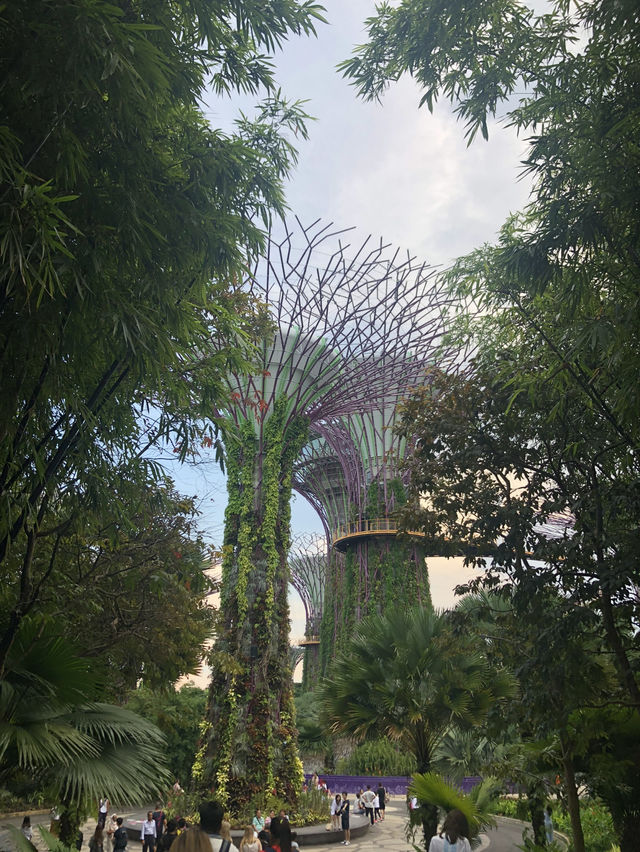 Gardens By The Bay แลนด์มาร์คที่ห้ามพลาดในสิงคโปร์