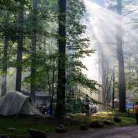 Planning a Camping Adventure in Taman Negara National Park