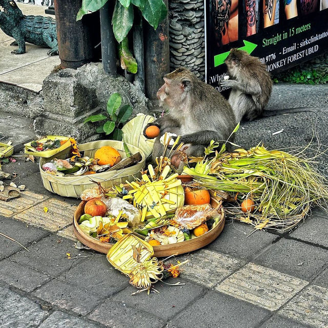 Campuhan Ridge Walk: A Scenic Escape in Ubud
