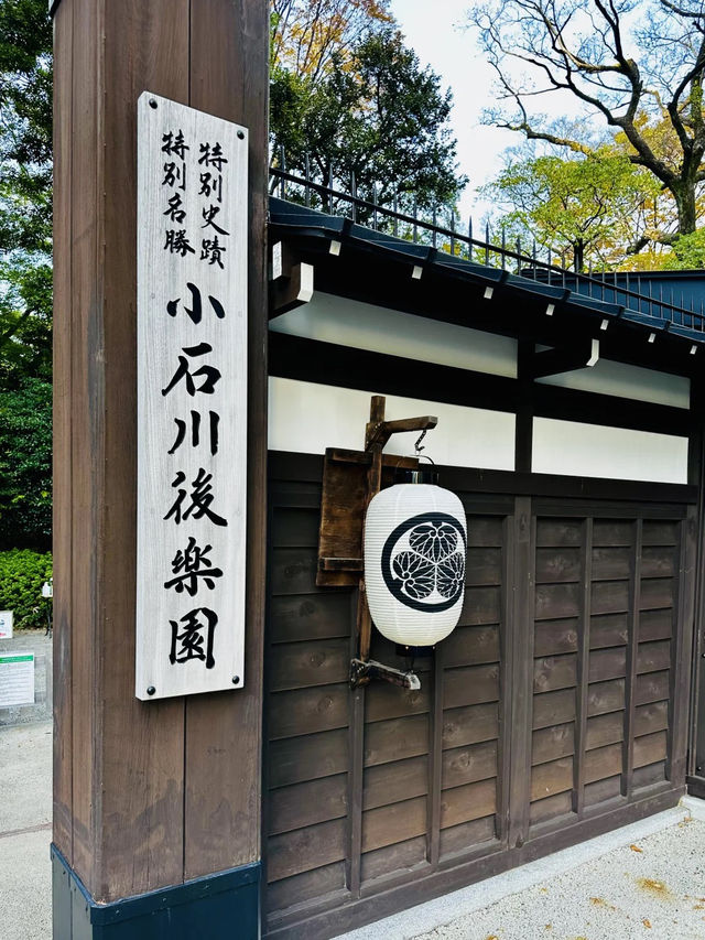 景點推薦：小石川後樂園——初秋東京的靜謐綠洲